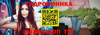 индика Малоярославец
