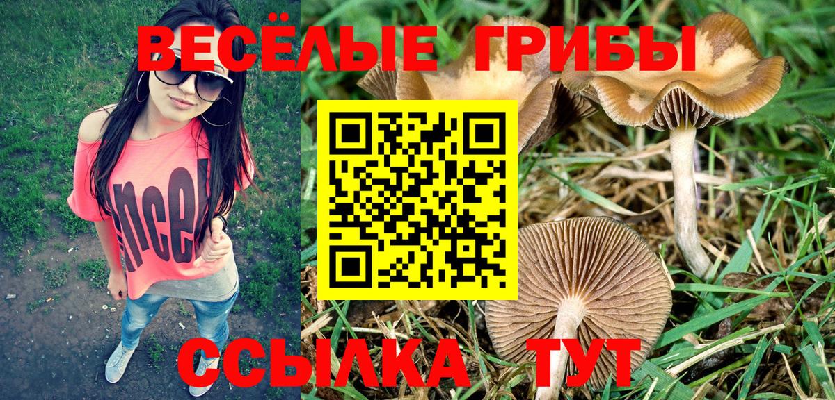 Чехов  Галлюциногенные грибы мухоморы  Вход с VPN  Галлюциногенные грибы мицелий 